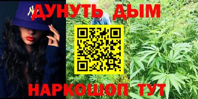 шишки Владимир