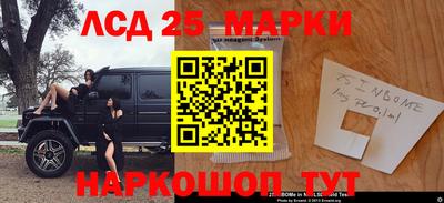 шишки Владимир