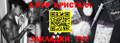 шишки Владимир