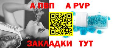 шишки Владимир