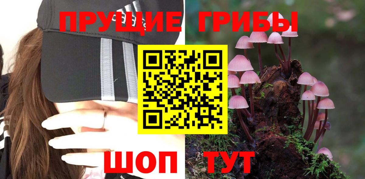 Псилоцибиновые грибы Magic Shrooms Балтийск
