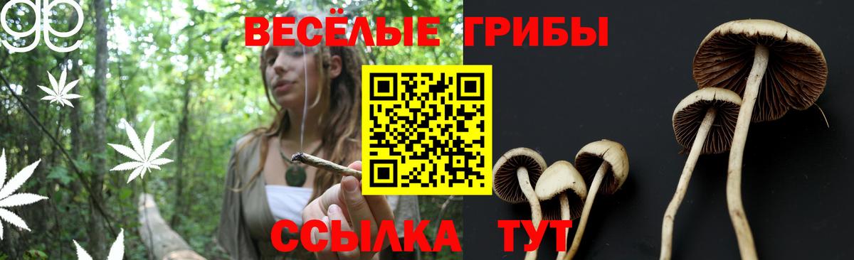 Балтийск  Галлюциногенные грибы мухоморы  Вход с VPN 